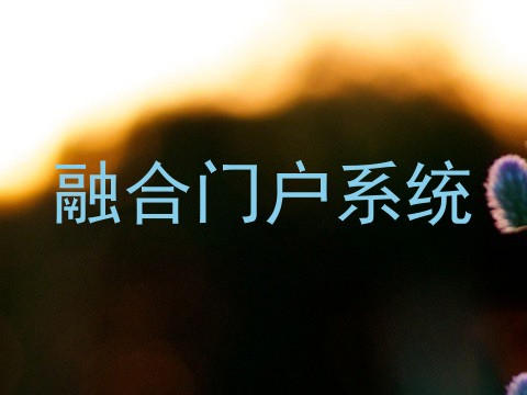融合门户系统