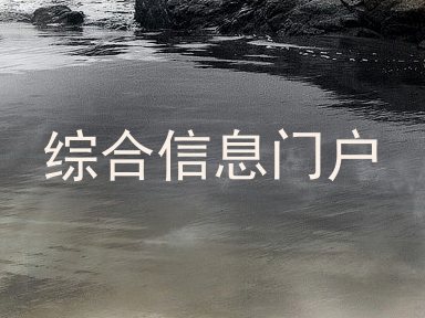 综合信息门户