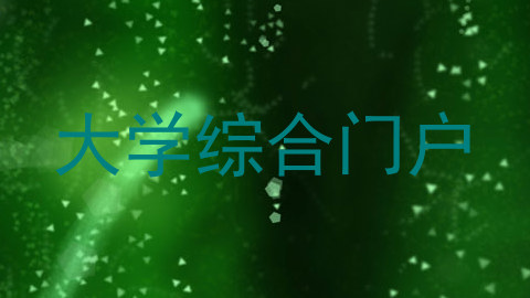 大学综合门户