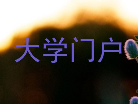 大学门户