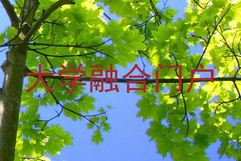大学融合门户