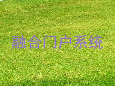 融合门户系统