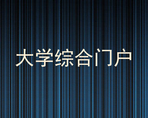 大学综合门户