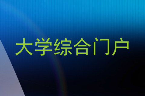 大学综合门户