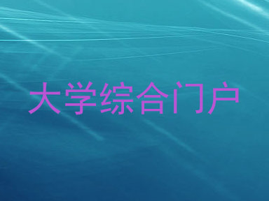 大学综合门户