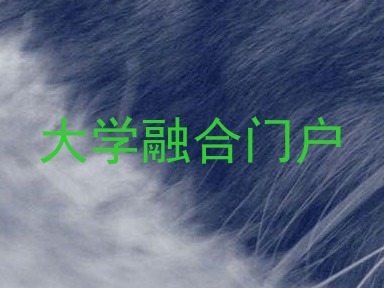 大学融合门户
