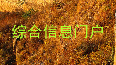综合信息门户