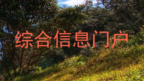 综合信息门户