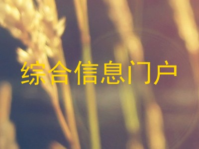 综合信息门户