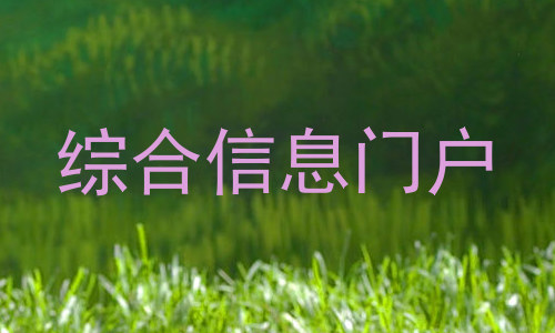 综合信息门户