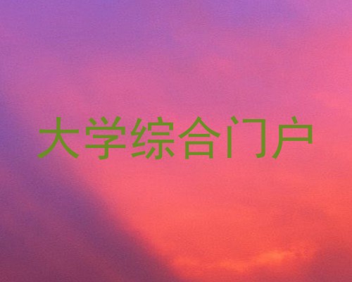 大学综合门户