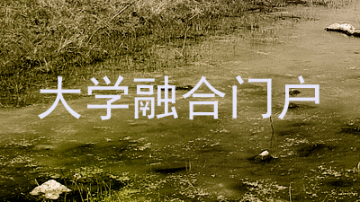大学融合门户