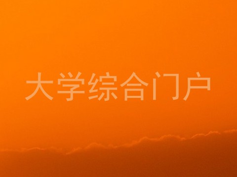 大学综合门户