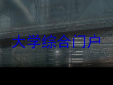 大学综合门户