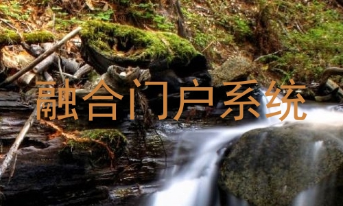 融合门户系统