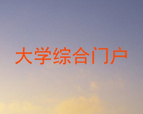 大学综合门户