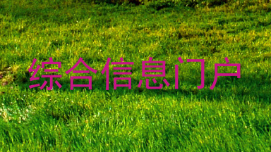 综合信息门户