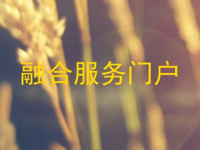 融合服务门户