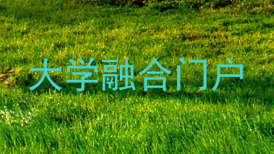 大学融合门户