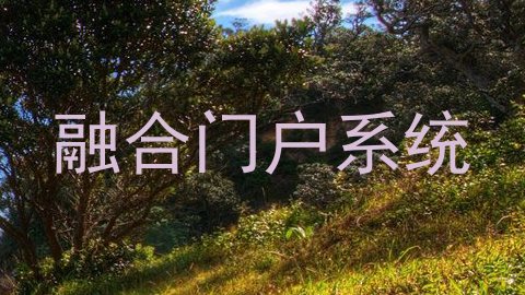 融合门户系统