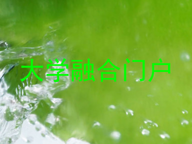 大学融合门户