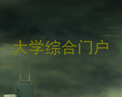 大学综合门户