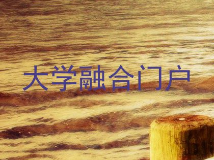 大学融合门户
