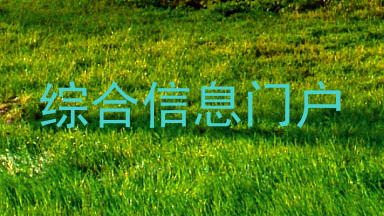 综合信息门户