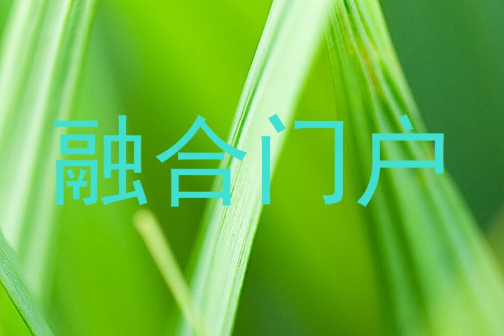 融合门户