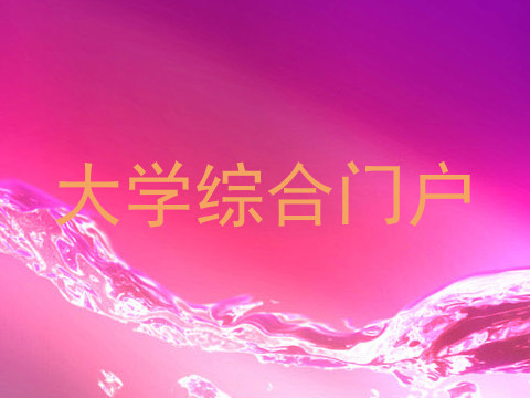 大学综合门户