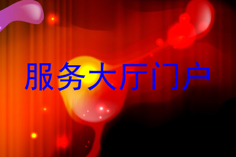 服务大厅门户