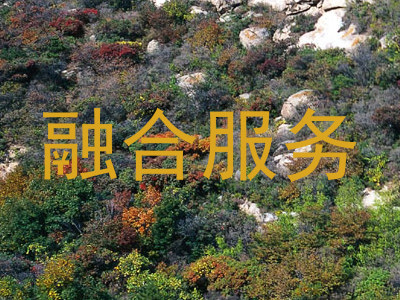 融合服务