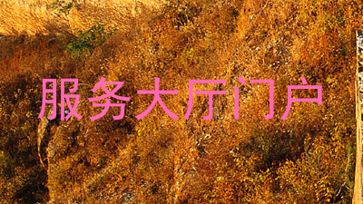 服务大厅门户
