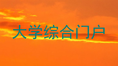 大学综合门户