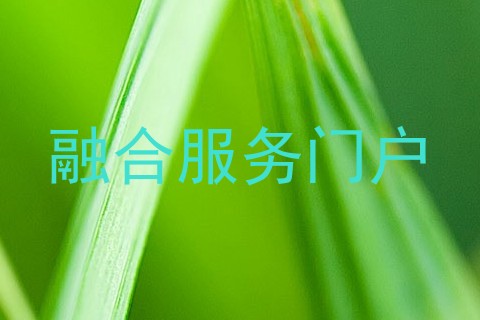 融合服务门户