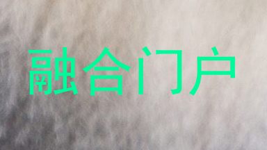 融合门户