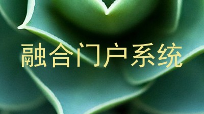 融合门户系统
