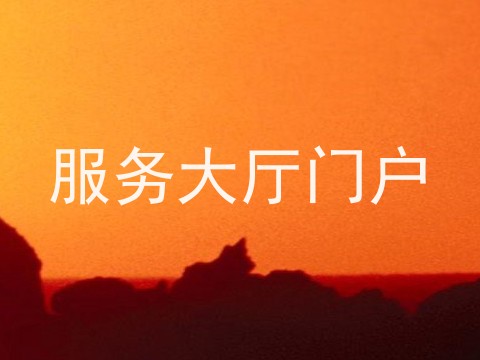 服务大厅门户