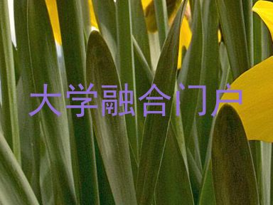 大学融合门户