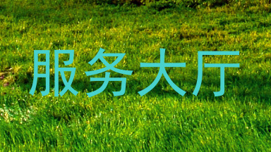 服务大厅