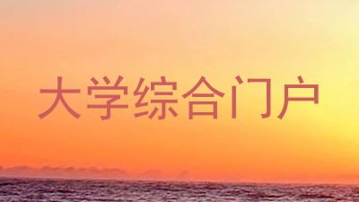 大学综合门户