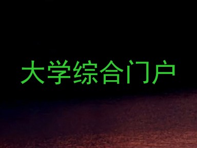 大学综合门户