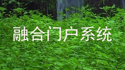 融合门户系统