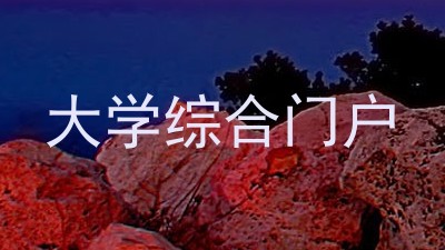 大学综合门户