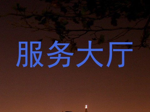 服务大厅