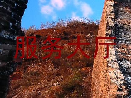 服务大厅