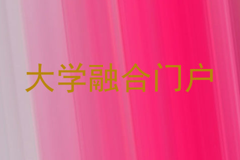 大学融合门户