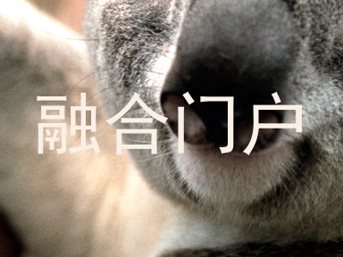 融合门户