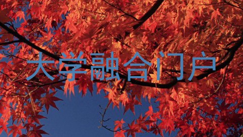 大学融合门户