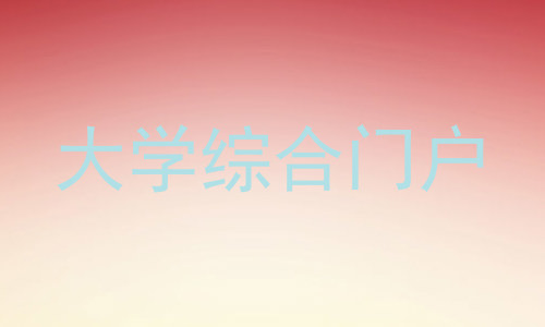 大学综合门户